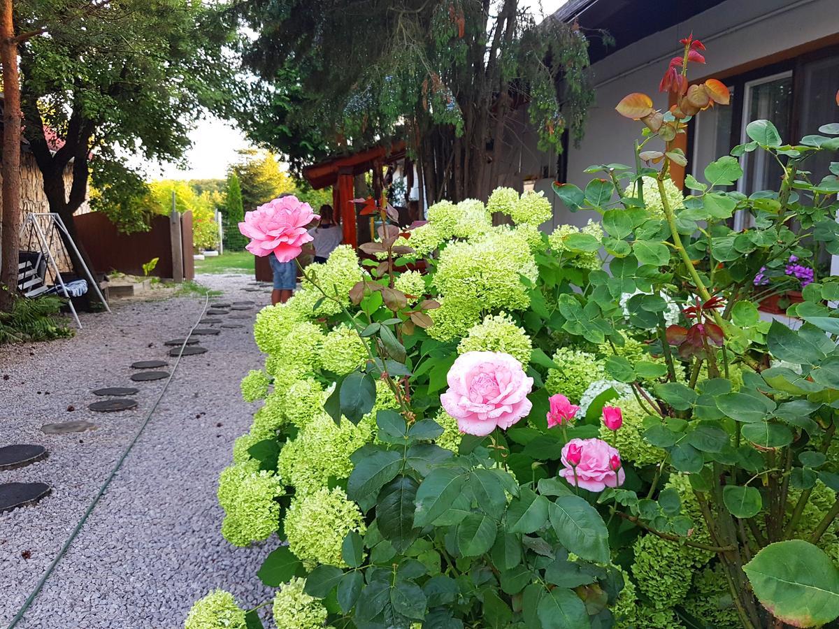Kuti Vendeghaz Hotel Bakonykuti Bagian luar foto